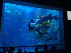 -太平洋海底世界