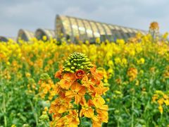 -中国天府农业博览园