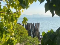 -深圳湾公园(南山区)