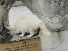 -宝通禅寺