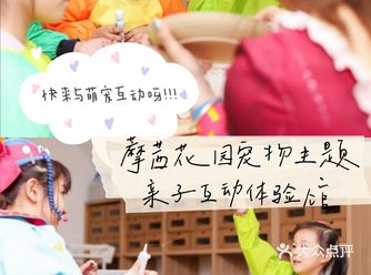 宝贝儿喜欢宠物的看过来——六一儿童节上海必打卡