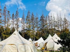 -前小桔亲子创意农场·草莓采摘·露营烧烤