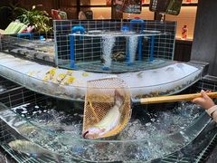 -南棠馆粤菜坊(群光店)