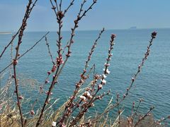 -鸭绿江海鲜烧烤大排档(杏林街店)