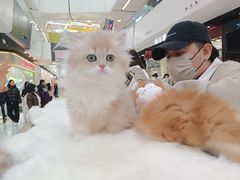 -万达广场(北京槐房店)