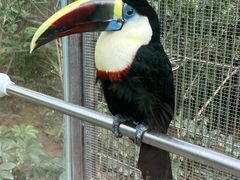 -南宫五洲植物乐园