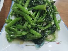 尖椒空心菜-功夫兔