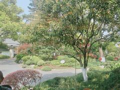 -浙江西子宾馆·瑶园咖啡厅