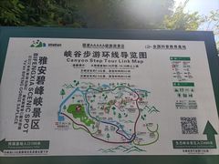-碧峰峡风景区