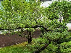 -远洲凤凰山庄臻味全日餐厅