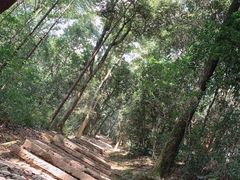 -西湖风景区十里琅珰-五云山