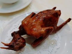 -有腥气私房菜·寻味顺德