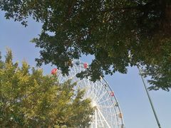 -观澜湖生态运动公社