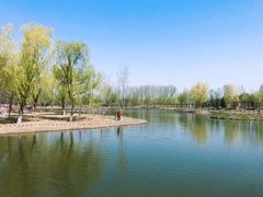 -东郊湿地公园