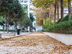 -广东药科大学(广州校区大学城校园)