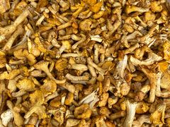 -双喜农庄·菌香园(安居家园店)