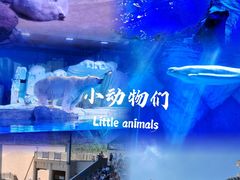 -上海海昌海洋公园