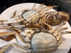 螃蟹-东方红海鲜百汇(国际大厦店)