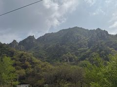 -大岭沟猕猴桃谷风景区