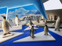 -贝林大翅鲸简餐厅(国家海洋博物馆店)