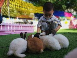 -萌宠亲子动物乐园(槐房万达店)