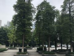 -重庆彩云湖湿地公园