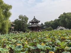 -莲池书院博物馆