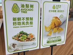 -油梨树AVOCADO TREE(望京店)