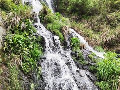 -磐安舞龙峡景区