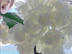 -深圳海边小筑客栈