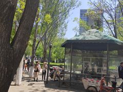 -长白岛森林公园