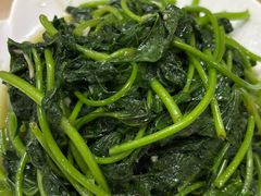 炒地瓜叶-力哥地道海南菜·联谊文昌鸡老店