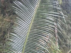 -七仙岭温泉国家森林公园