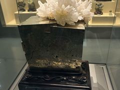 -安徽省地质博物馆