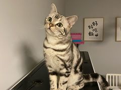 -美迦爱-牙专科·兔科·骨科诊疗中心(北苑店)