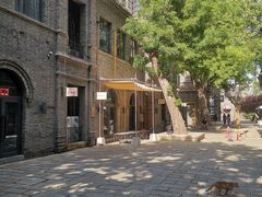 -绿地·中山里