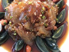 老醋蛰头-新海渔港·胶东海鲜家常菜·家宴(奥体中心店)
