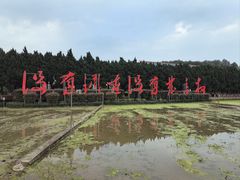 -毛泽东才溪乡调查旧址景区