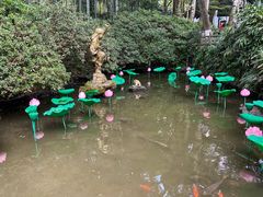 -杭州黄龙洞