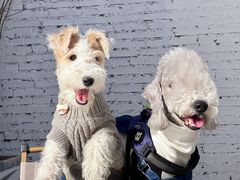 -小意思咖啡店(草桥店)