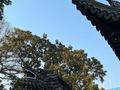 -豫园