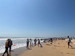 -日照海滨国家森林公园