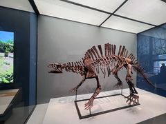 -湖南省地质博物馆