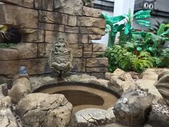 -悦隆庄温泉度假酒店