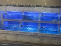 -香山湖渔家大院