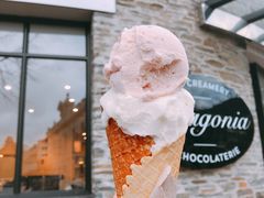 -Patagonia Chocolates(皇后镇店)