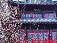 -堤角公园