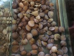 -三亚海韵度假酒店·渔人码头海鲜火锅BBQ自助餐厅·落日吧