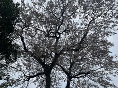 -成都市文化公园