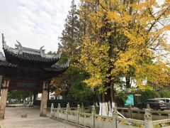 -瀛洲公园